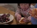 [Costco in Japan] Mom of 5 makes dinner with purchased items