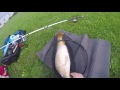 Carp fishing ohio-31 inch carp