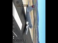 Japan Airlines Flight 115 - Landing Animation