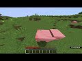 Minecraft Survival World with thep1xelz