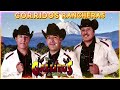 Los Gallitos De Chihuahua Mix ~ Corridos Viejitos Pero Bonitos ~ Corridos y Rancheras Del Rancho Mix
