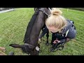 GoPro: Let It Be Lee (CCI 4* - S | 2022 Carolina Int'l CCI & Horse Trials)