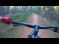 Shred Kelly's | Mystic MTB Park | Bright, Victoria