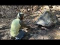 Metal Detecting for Gold in the Sierra Nevada