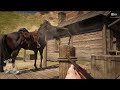This mod adds 150 new weapons to RDR2