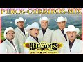 Corridos y Rancheras Mix ️️🎸 Los Halcones De San Luis Mix Puros Corridos 🎸 Selectivo Grandes Exitos
