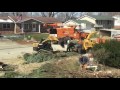 Removing my 3 trees...03/15/17      5 of 6