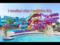 Cat memes family road trip compilation!