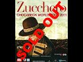 Zucchero Fornaciari Chocabeck World Tour 20/12/2011 Reggio Emilia