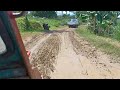 MY HOMETOWN  IN PROVINCE #shortvideo #sugarcanefarm #jocelynlacang #nature #sugarcane  #escalante