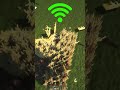 physics with different Wi-Fi in Minecraft #shorts #memes #memes