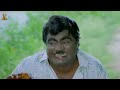 Kota Srinivasa Rao, Babu Mohan Super Comedy Scenes | Prema Vijetha | Suresh Productions
