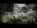 Red Dead Redemption 2 online-wtf i got clothe lined from branch,lol