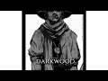 Darkwood OST - Burn Them All