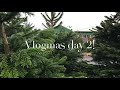 VLOGMAS DAY 2! THE CAT CAUGHT A MOUSE!
