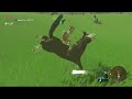 Breath Of The Wild: My thoughts and opinions 6