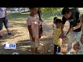 Kids Hitting the Piñata at the Birthday Party