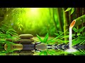 Soothing Water Sounds with Gentle Piano Music | Relax, Sleep, Meditate | 1 Hours