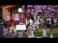 GaiaOnline Dev Meat 🍖 wedding celebration  ( 1 ) Zen Gardens . May 24