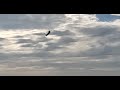 Chinook at Southport Airshow 10/09/23