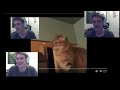 My Reaction of my Reaction of my Reaction of the Stealth Cat Slap