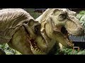 What Happened To The Tyrannosaur Family On Isla Sorna?