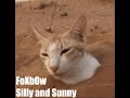 FoXbOw - Silly and Sunny       //     a goofy song