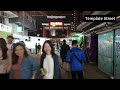 Hello Hong Kong: Temple Street & Fruit Market Night Walk at Hong Kong Christmas period | 15 Dec 2023