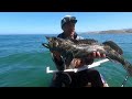 Minimalist Kayak Fishing - Light Tackle, BIG LINGCOD