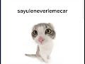 sayuleneverlemecar