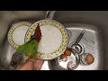 Marvin's favourite way to bathe/shower