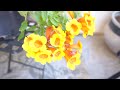 🌻 FRONT PORCH DECORATING IDEAS ~ EASY + BUDGET FRIENDLY ~ SPRING & SUMMER FRONT PORCH ~ Monica Rose