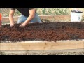 Best Soil For Rasied Garden Bed