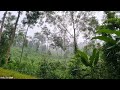 FULL VIDEO: 200 Days Build Warm, And Make A Fence Around The House Living Alone In The Forest