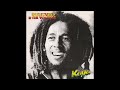 Is this Love - Bob Marley (Looped and Extended)