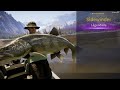 Call of the Wild The Angler™ - Sidewinder