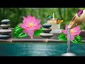 🔴 Relaxing Music , Sleep Music, Stress Relief Music, Spa, Meditation, Yoga, Zen, Calming Music