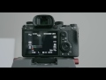 Sony Mirrorless // MOVIE RECORD + SHUTTER BUTTON!!!!!!