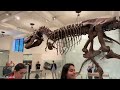 American Museum of Natural History  walking tour - New York City - Full Walkthrough