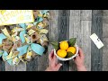 Fresh Lemonade Deco Mesh Wreath ~ Summer Wreath For Your Front Door ~ 10