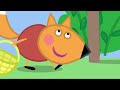 Peppa Pig Nederlands | Opa's computer | Tekenfilms voor kinderen