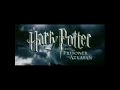 Harry Potter And The Prisoner of Azkaban Dubbed by Me