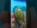 Different angel from yellow pineapple stone pandan #pandanlovers #yellow #pineapple #shorts