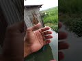 lumalim na nman tubig sa lawa