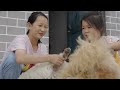 Documentary | Guizhou: Green As Gold [4K]