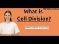 What is Cell division? | Definition and How Cell division occurs.