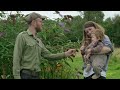 Regenerative Farm Combines Ducks and Blueberries | Parc Carreg Duck Eggs, Wales