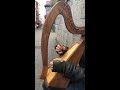 Irish Harp Street Musician in Cork