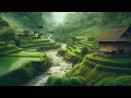 Beautiful Relaxing Music - Stop Overthinking, Stress Relief Music, Sleep Music, Calming Music.