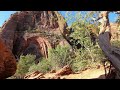 Top Things You NEED To Do In Zion National Park